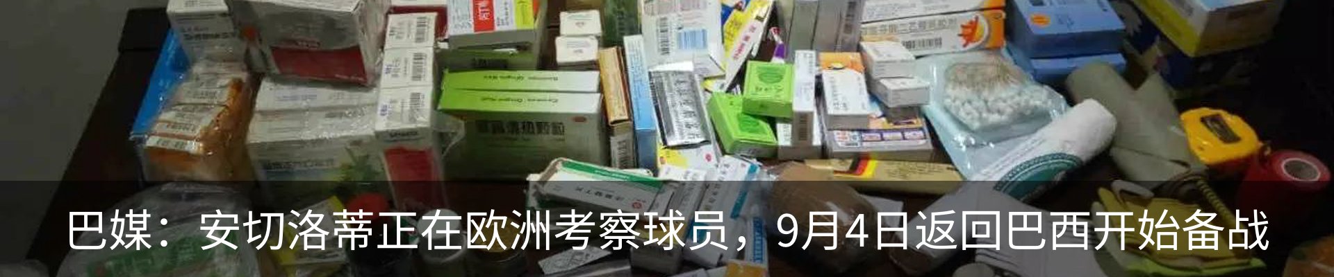 新闻动态