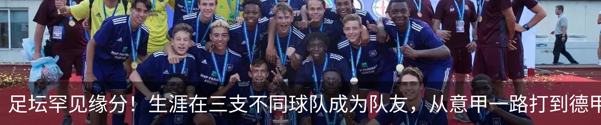 新闻动态